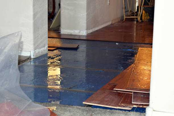 Professional Flood Damage Repair technician working in Forestdale, RI
